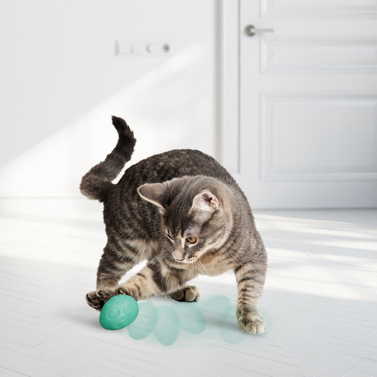 Kong Infused Catnip Egg 2pk