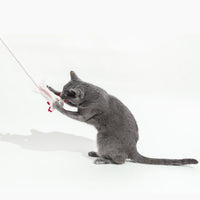 A little Lotl Cat Toy with A 5-Foot Long Tether