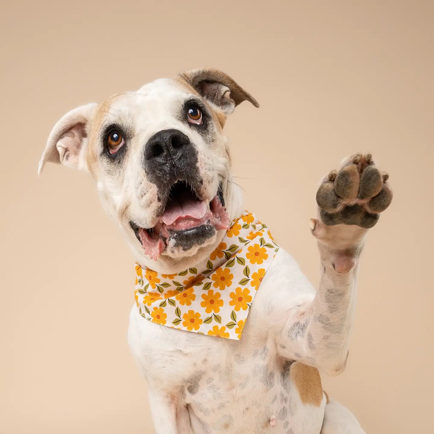 Marigold Flower Bandana, 3 Sizes