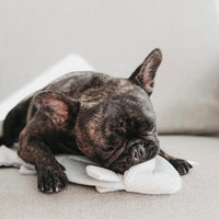 Trout Enrichment Dog Snuffle Toy