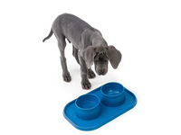 No Slip Dog Feeding Placemats