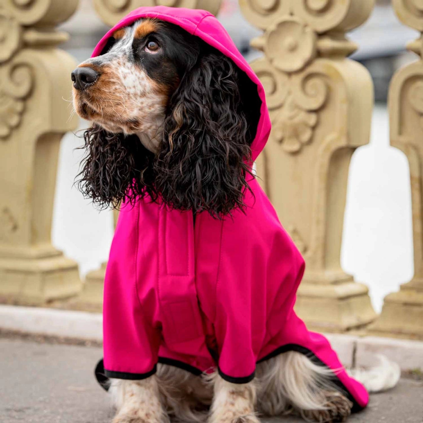 Waterproof Softshell Rain Coat, Deep Pink