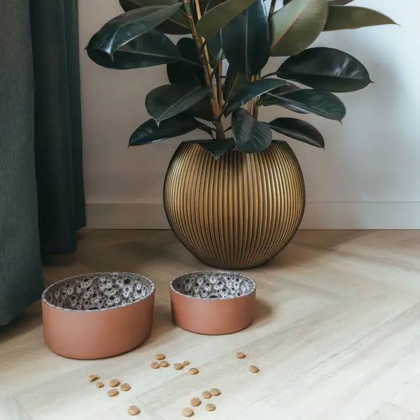 Ceramic Dog Bowl Jag Brown