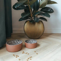 Ceramic Dog Bowl Jag Brown