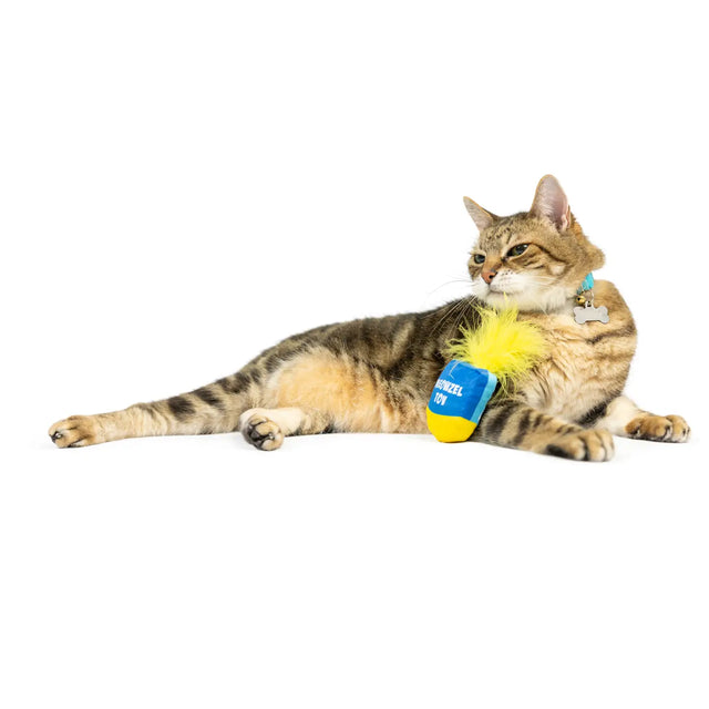 Meowzel Tov Dreidel Cat Toy