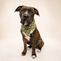 Olive Leopard Bandana, 3 Sizes