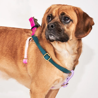 Found Classic Cotton Harness | Jolie