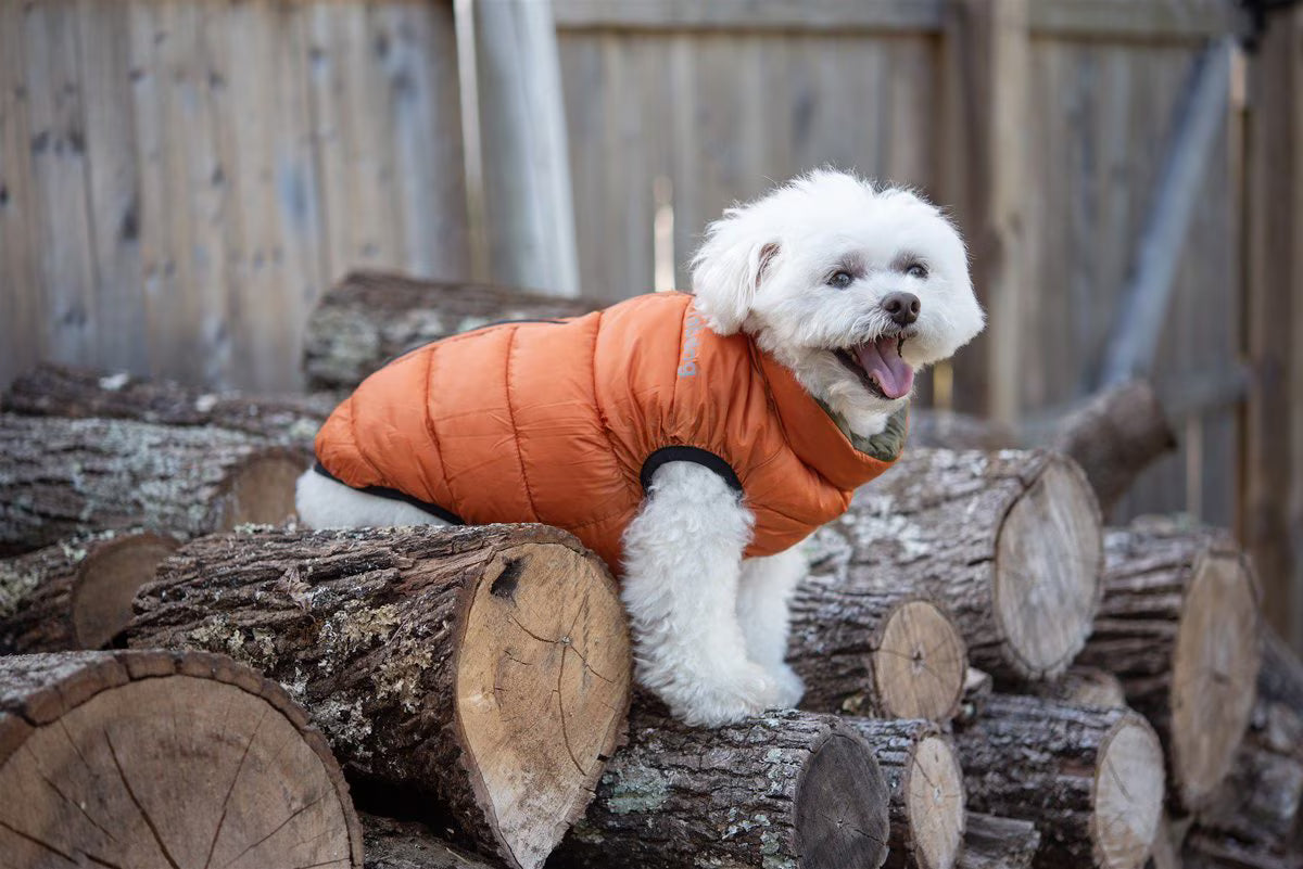 Reversible Puffer Coat Olive / Orange