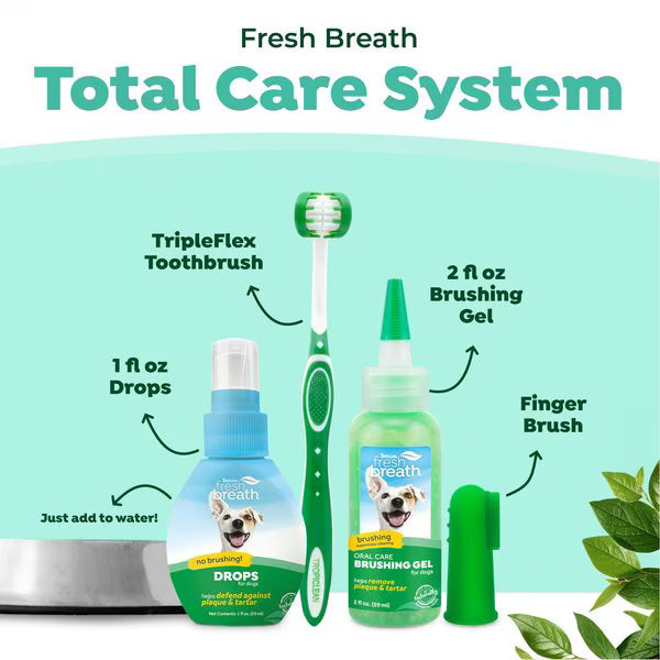 Fresh Breath Total Oral Care Kit Large