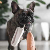 Mini Baguette Snuffle Toy