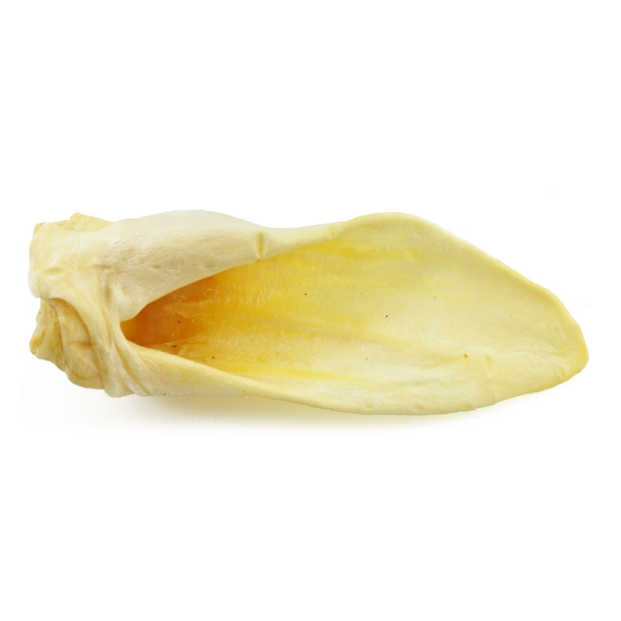 Lamb Ear - 1 pc.
