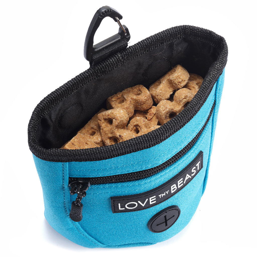 Turquoise Treat Training Pouch