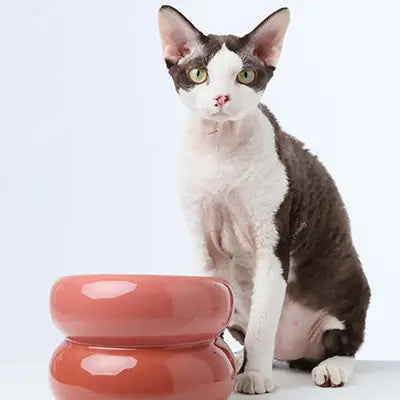 Soufflé Pet Bowl - Rose Pink