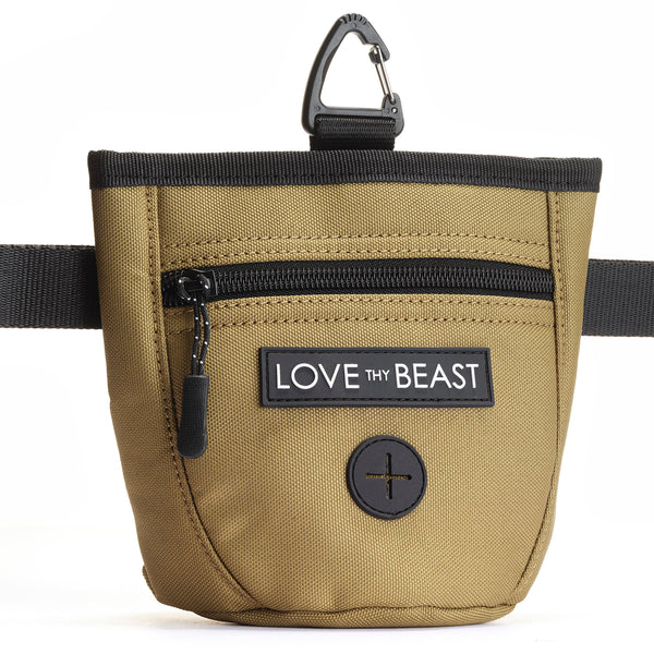 Canvas Patch Bag – Love Thy Dog