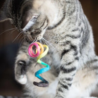 Kitty Spring Wool Toy