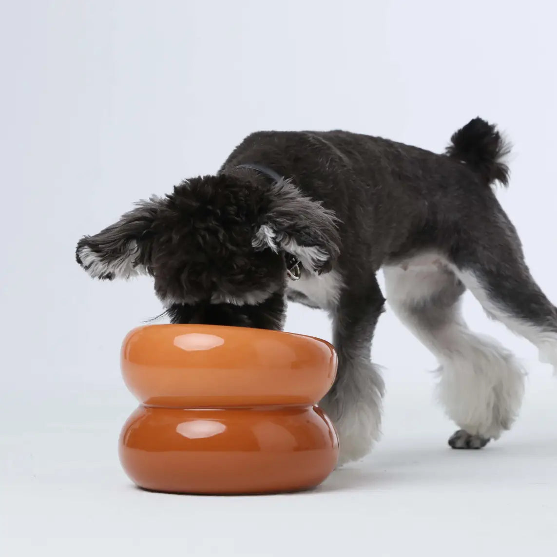 Soufflé Pet Bowl - Amber Orange