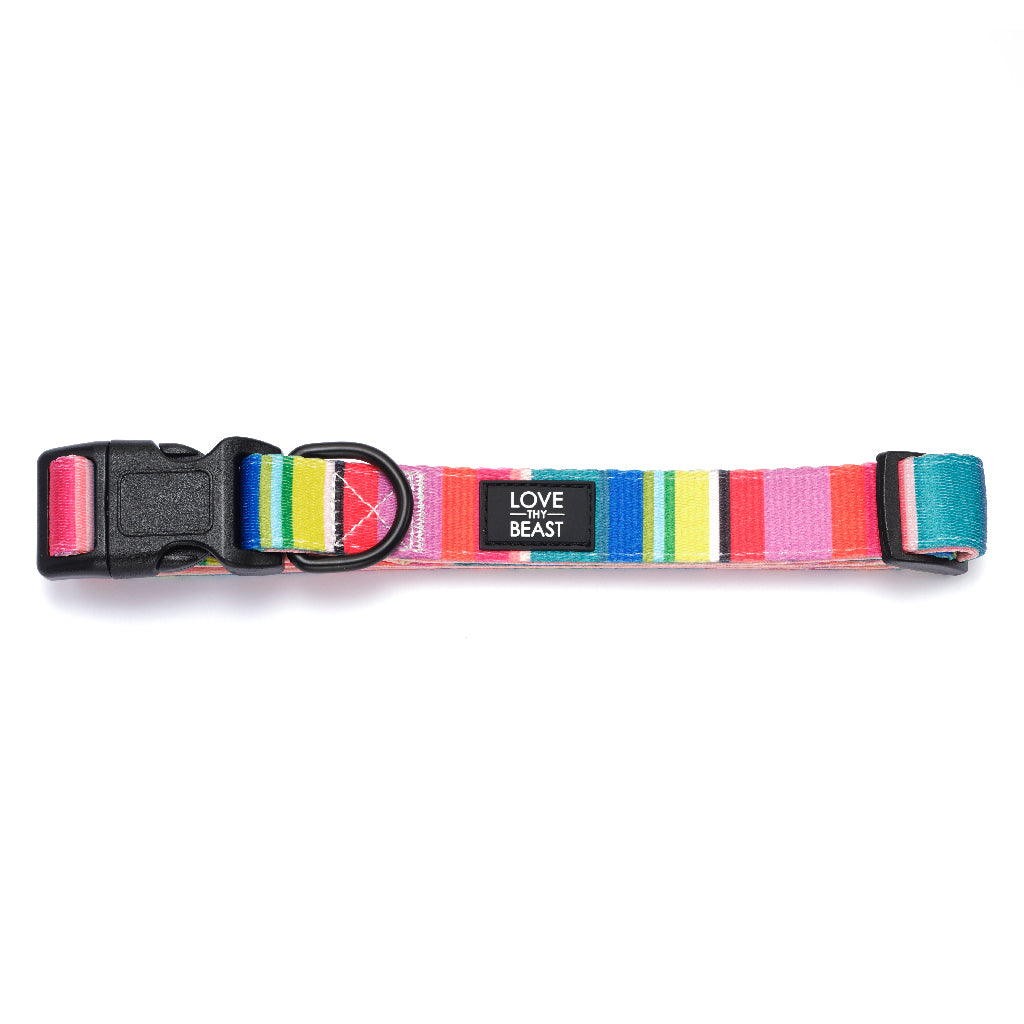 Happy Stripe Collar