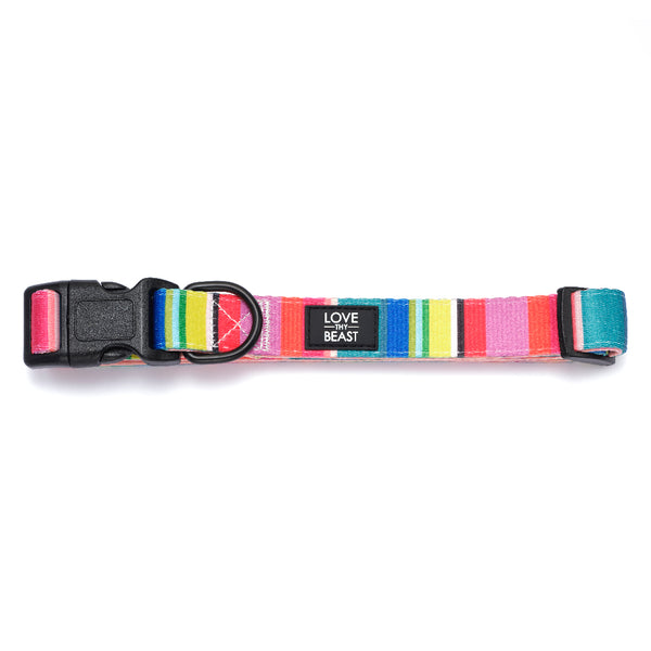 Beast dog collar deals