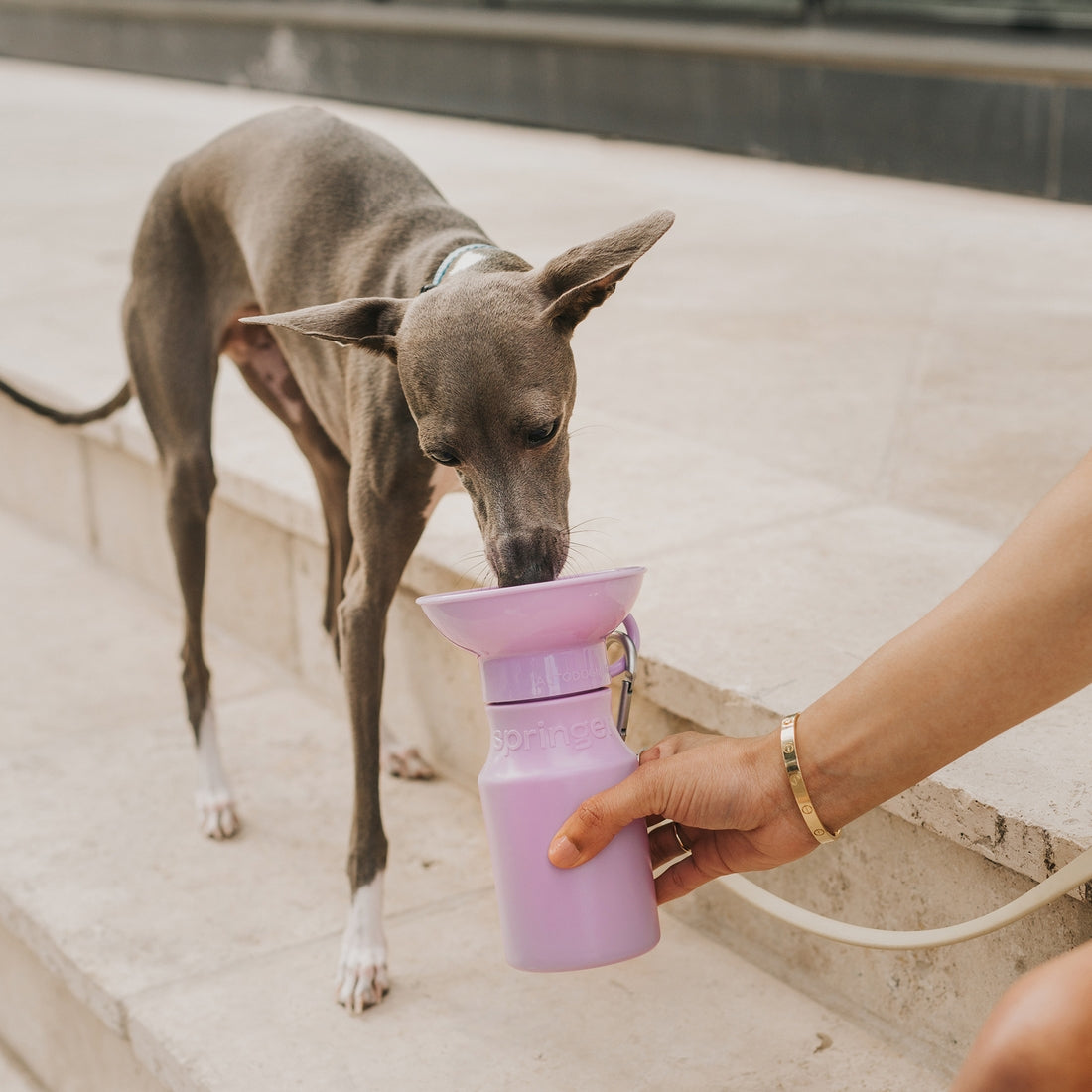 Lilac Squeeze-able Water Bottle, 15oz