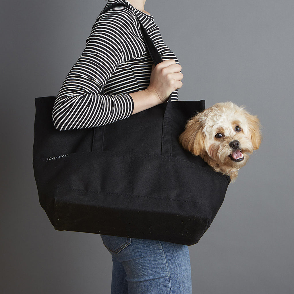 black canvas dog tote bag for subway commute 