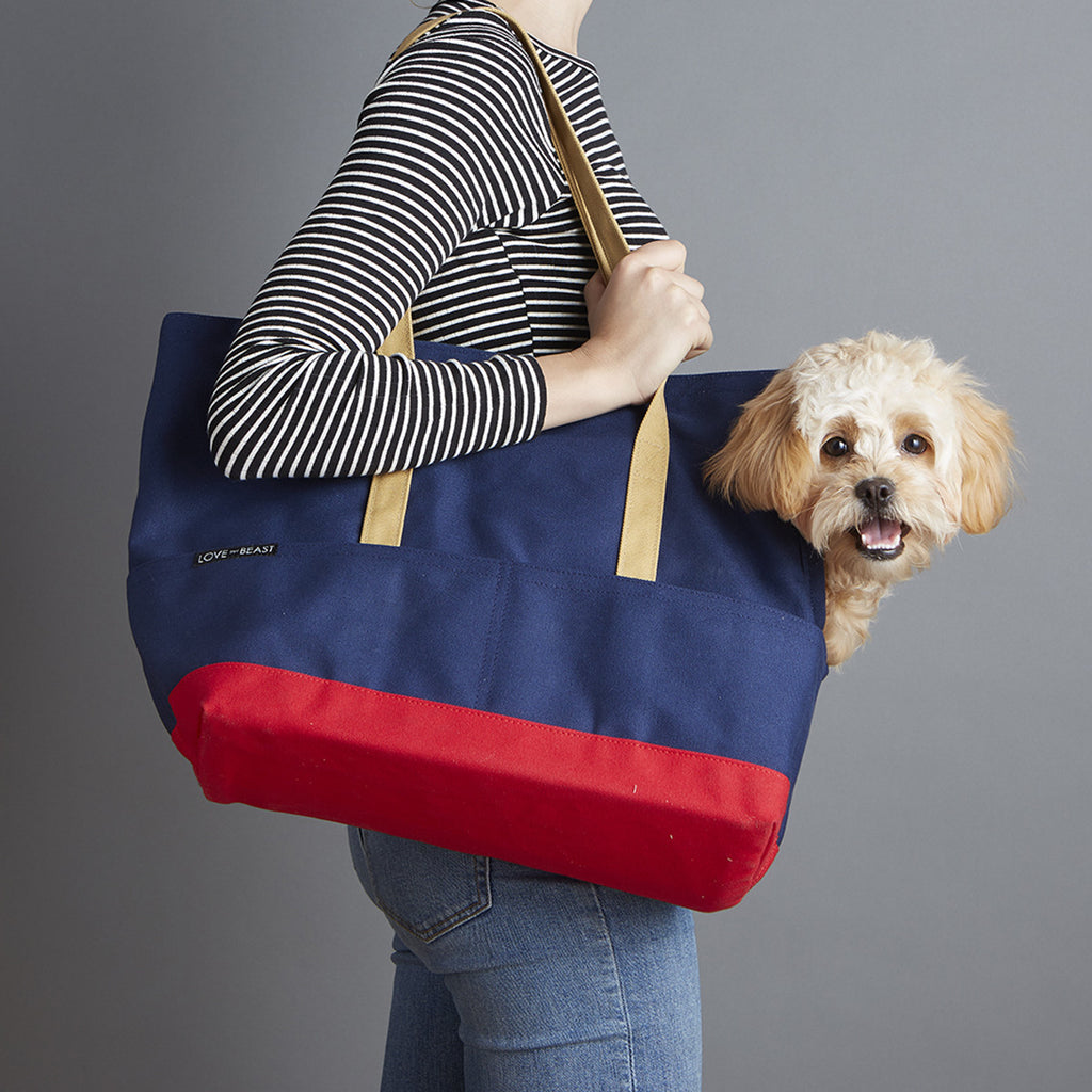 Navy and Red Canvas pet tote carrier for emotional support animal 