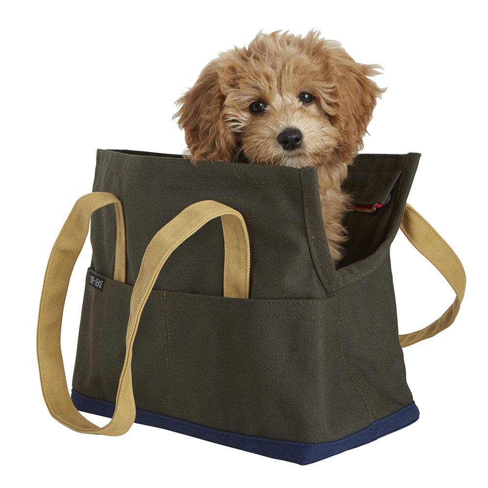 Canvas Pet Tote Small - 5 colors – LoveThyBeast