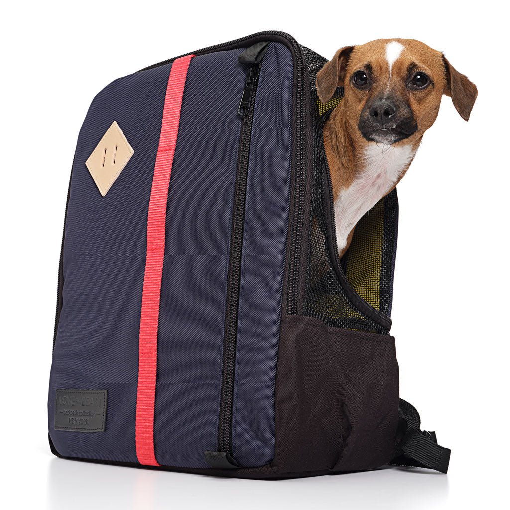 Navy Nylon Canvas Backpack