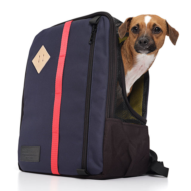 Navy Nylon Canvas Backpack