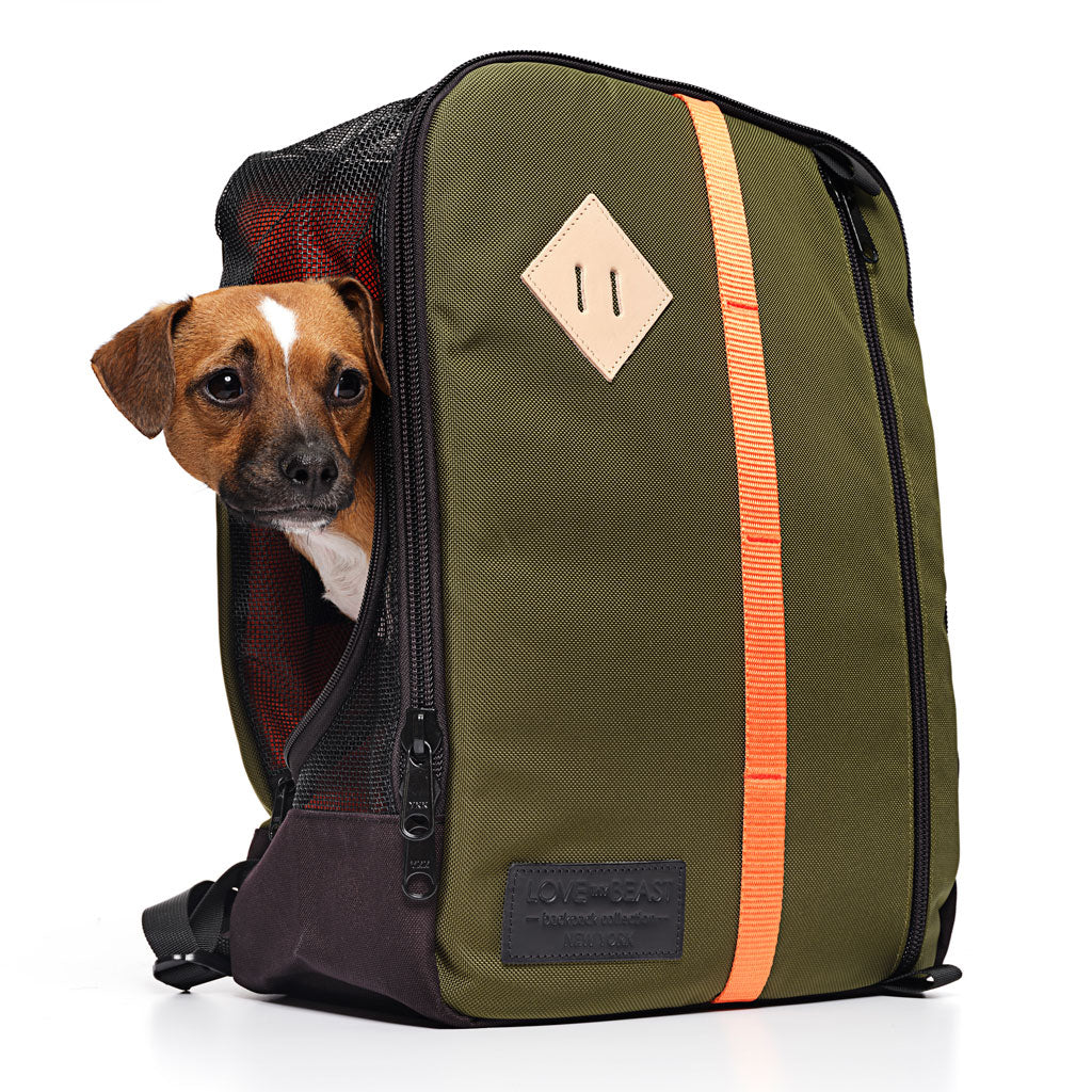 Olive Nylon Canvas Backpack