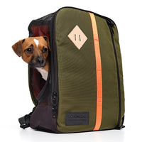 Olive Nylon Canvas Backpack