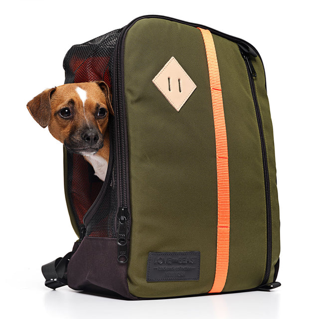 Olive Nylon Canvas Backpack
