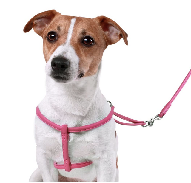 Rolled Leather Step In Harness - Pink