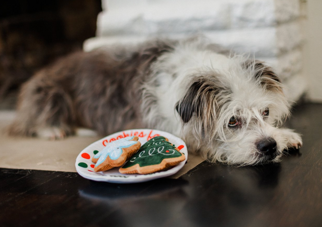 Sugar Cookies Toy