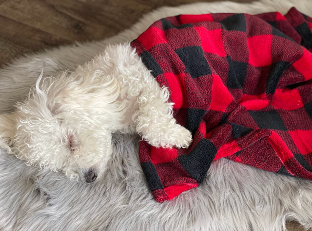 Buffalo Plaid Cuddle Blanket 20 x 30