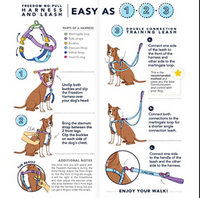 Jelly Bean Sugar Freedom Harness & Leash