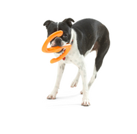 Bumi, 2 sizes