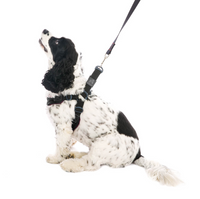 Escape Free, Sport Fit Harness - Black