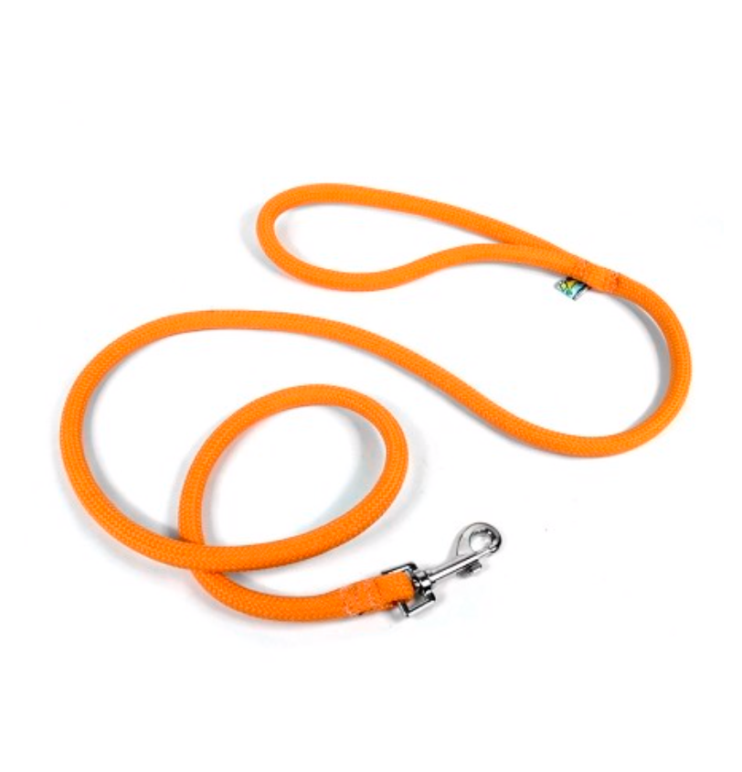 Orange hotsell rope leash
