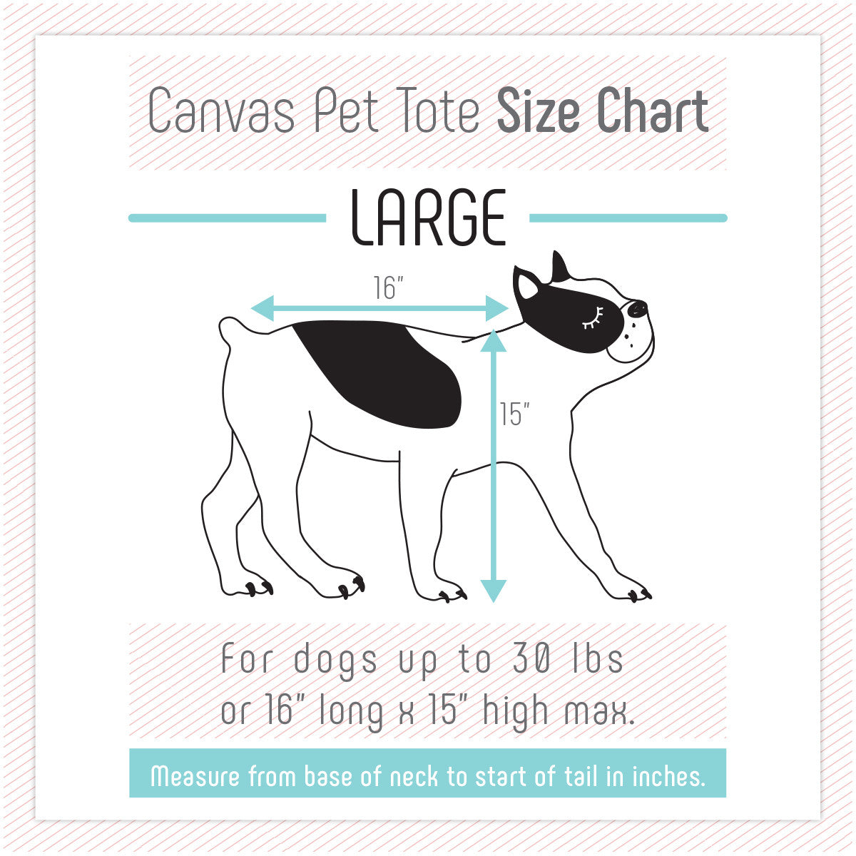 Canvas Pet Tote Navy & Red