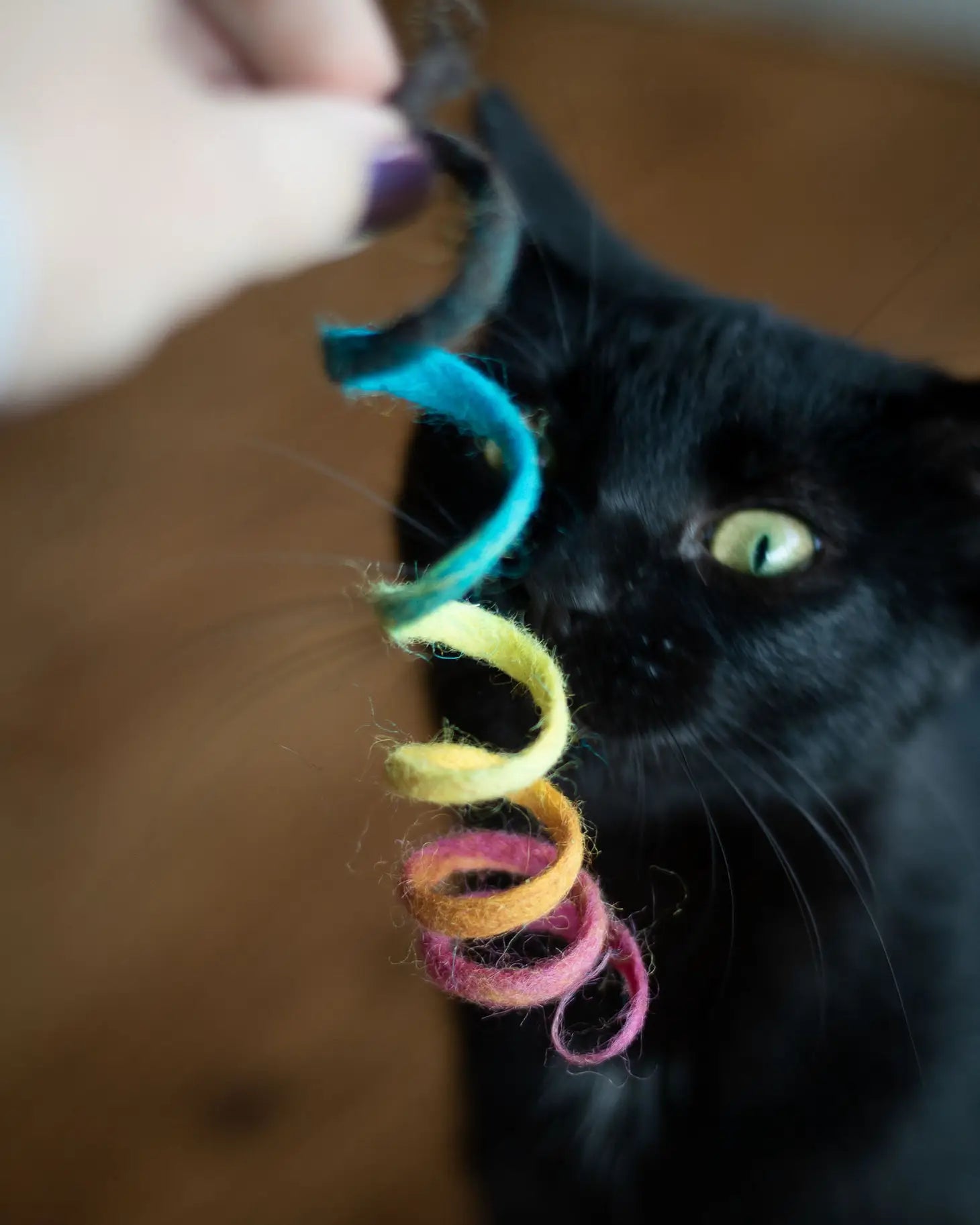 Kitty Spring Wool Toy