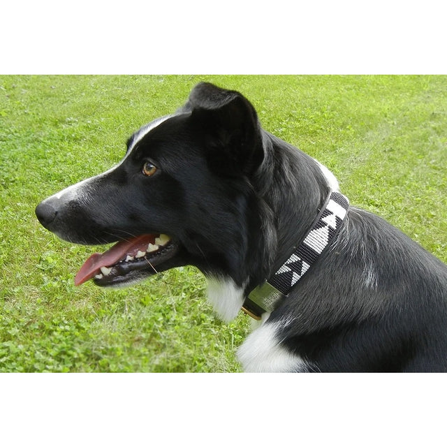 Ebony & Ivory Beaded Dog Collar